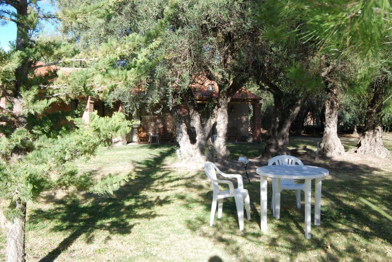 Suter Petit Hotel San Rafael Dış mekan fotoğraf